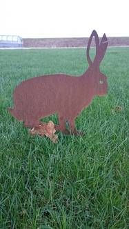 Hare 340x360 mm.